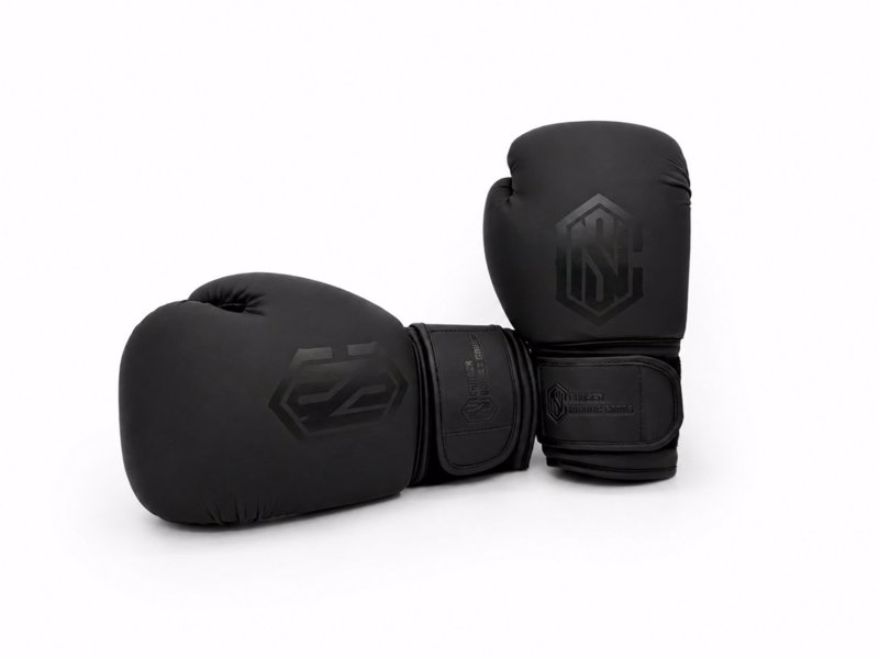 Chosen FIRST Boxing Gloves-black